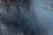 Monitor Gullies and Lobes in Can Crater 