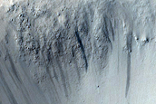 Terrain Sample