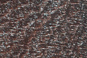 North Polar Terrain