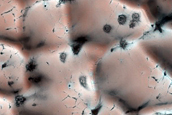 Monitoring Ice in Polar Crater