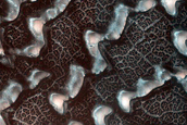 Dune Monitoring in Crater