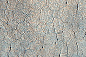 Utopia Planitia Scalloped Terrain