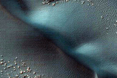 Transverse and Barchan Dune Field