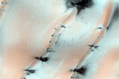 Northern Dune Margin