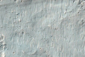 Terrain Sample