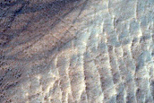 Mars Global Digital Dune Database Expansion