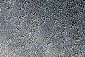 North Polar Scarp