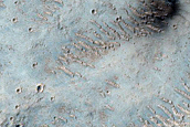 Candidate Recent Impact Site
