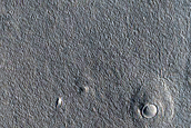Monitoring New Impact Site