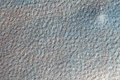 Dark Filamentary Streak Year-Round Monitor Site in Noachis Region
