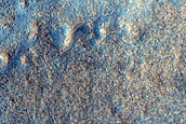 Cones in Northern Mid-Latitudes