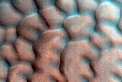 Dune Monitoring in Crater
