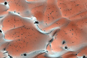 Dunes Dubbed Buzzel