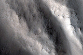 Gully Monitoring