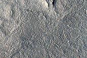 Northern Mid-Latitude Terrain