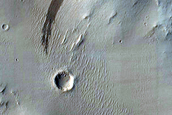 Eastern Arabia Terra