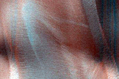 Crater Dune Field Frosting Processes