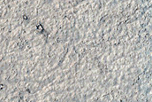 Elysium Planitia
