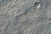 Wrinkle Ridge