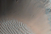 Possible Phyllosilicates Associated with Small Crater in Tyrrhena Terra