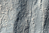 Gully Monitoring