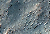Southern Mid-Latitude Terrain