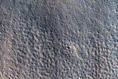 Possible Gullies and Crater Fill with Scallops