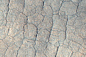 Utopia Planitia Sample