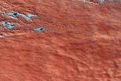 Monitoring of Dune Dubbed Furya in Chasma Boreale