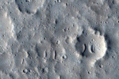 Tempe Terra