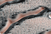 North Polar Dune Margin