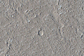 Amazonis Planitia Terrain Sample