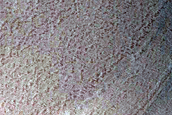 North Polar Terrain Sample
