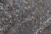 North Polar Scarp