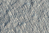 Northern Mid-Latitude Terrain