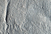 Gully Monitoring