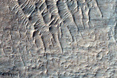 Hellas Planitia Terrain Sample