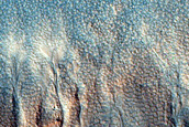 Gully Monitoring