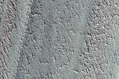 Terrain Sample