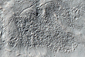 Possible Mafic-Rich Terrain near Newton Crater