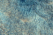 Utopia Planitia Scallops and Polygons