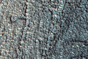 Unusually Large Gullies on Equator-Facing Slope of Crater