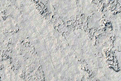Platy-Ridged Lava in Elysium Planitia