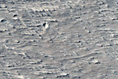 Terrain Sample