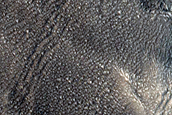 Terrain Sample