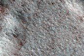 Terrain Sample