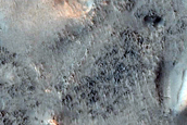 Cratered Cones in Acidalia Planitia