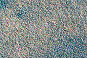Vastitas Borealis