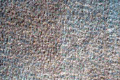 Dark Filamentary Streak Year-Round Monitor Site in Promethei Terra
