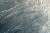 Gully Monitoring